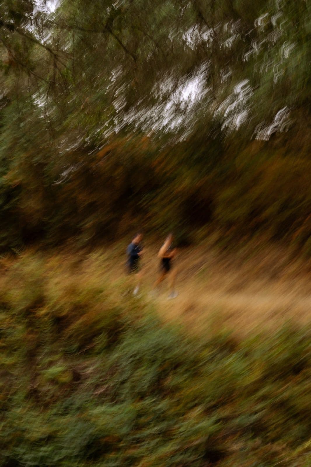 Iron Horse Run Club lake chabot loop photo 2 of 22