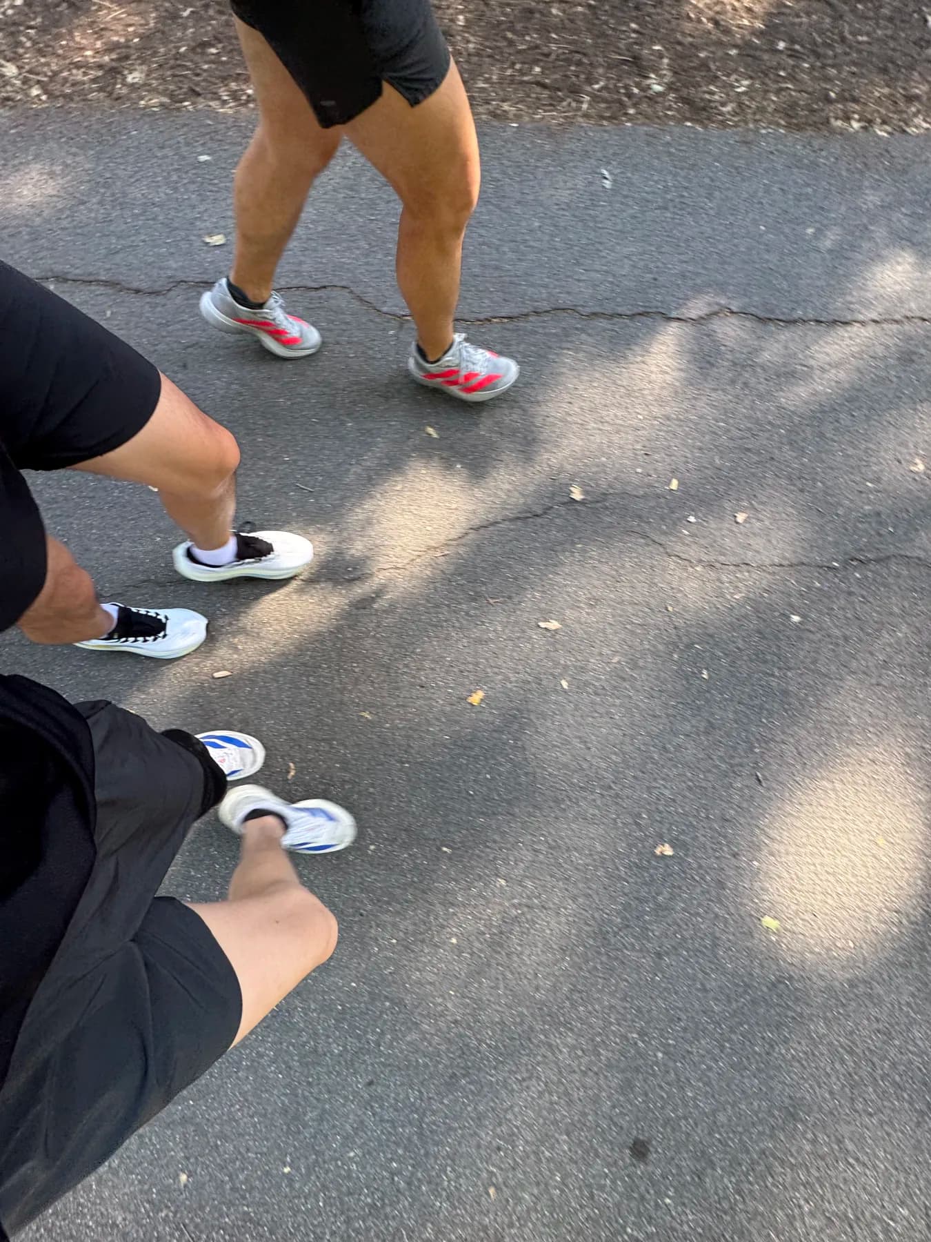Iron Horse Run Club danville to alamo easy 10k photo 2 of 3