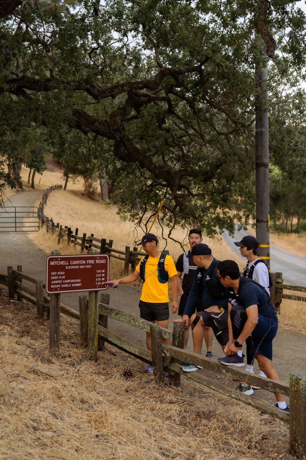 Iron Horse Run Club mount diablo summit photo 2 of 22