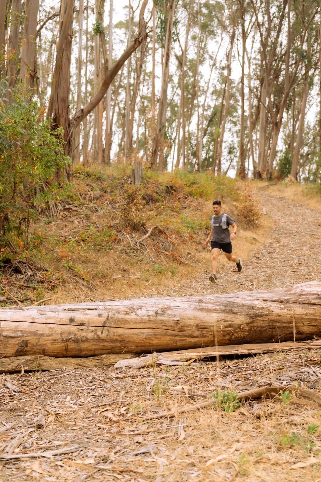 Iron Horse Run Club lake chabot loop photo 14 of 22