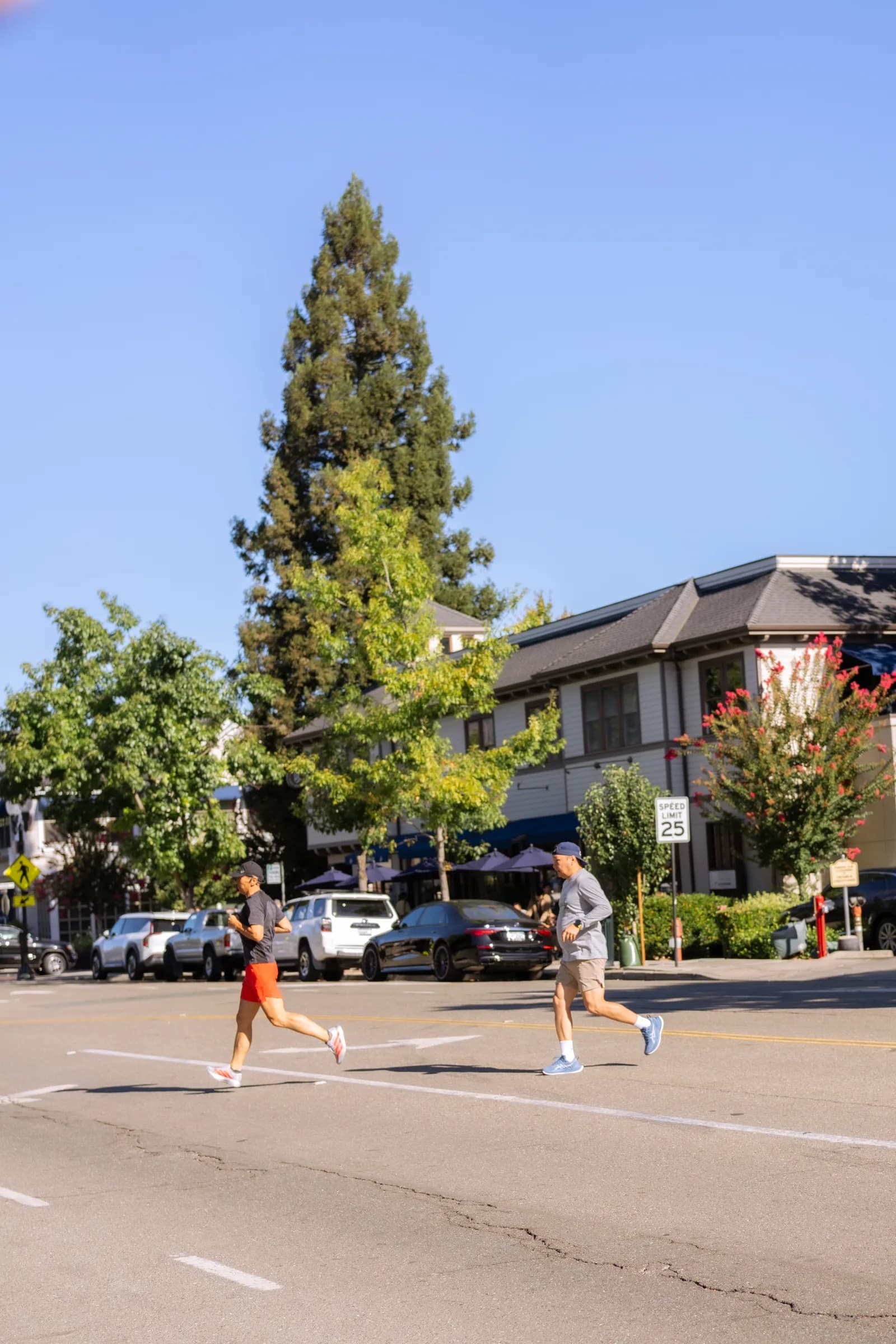 Iron Horse Run Club danville 10k photo 9 of 22