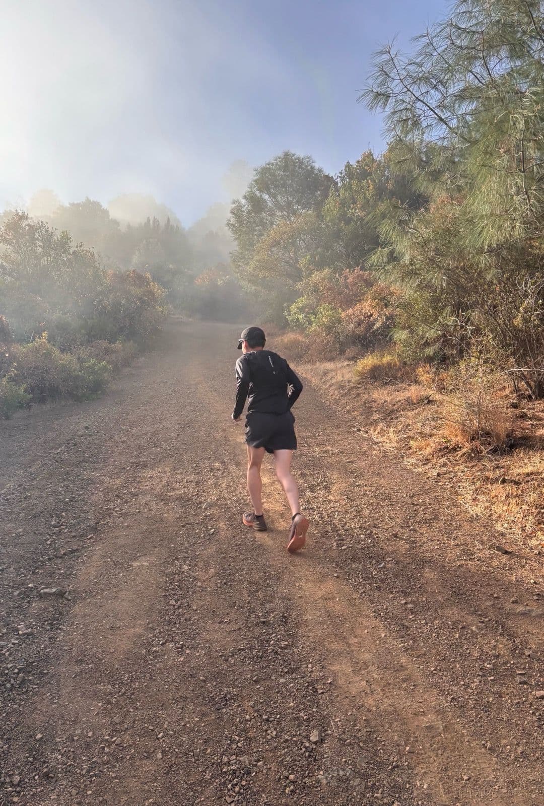 Iron Horse Run Club mount diablo summit photo 5 of 22