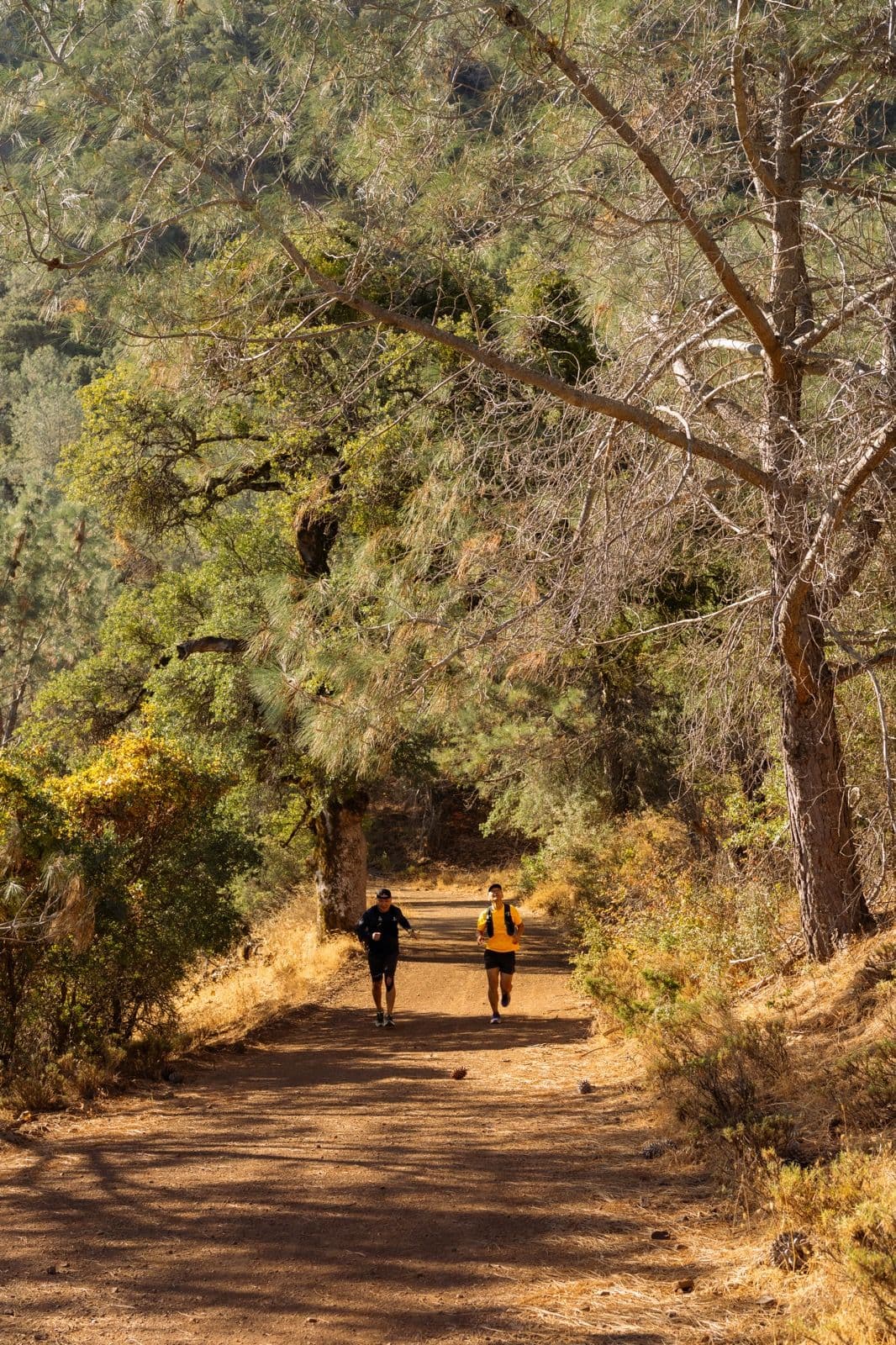 Iron Horse Run Club mount diablo summit photo 7 of 22