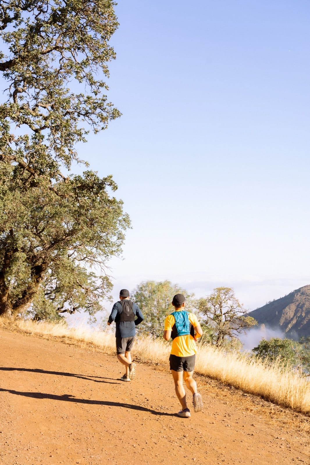 Iron Horse Run Club mount diablo summit photo 8 of 22