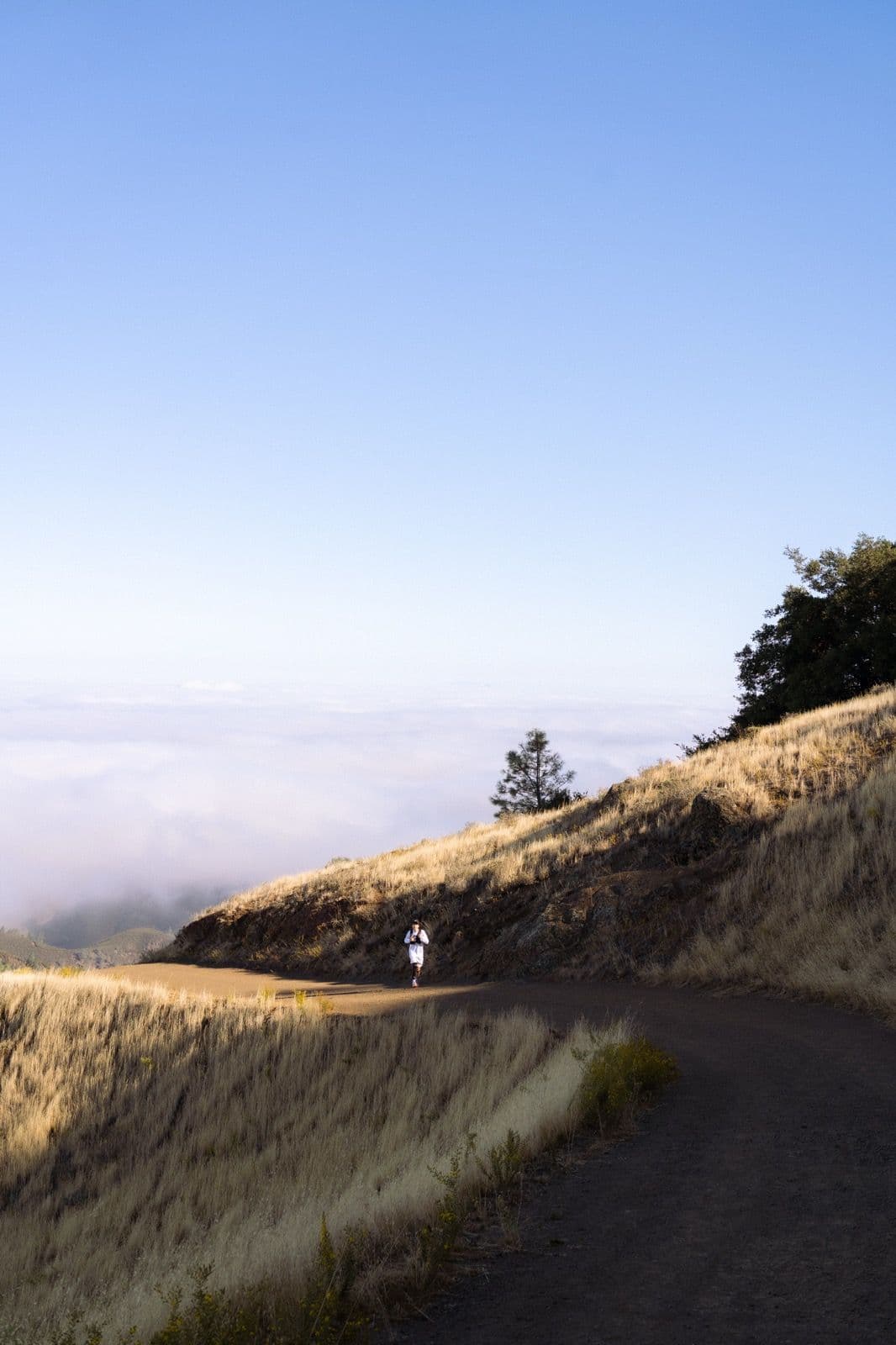 Iron Horse Run Club mount diablo summit photo 12 of 22