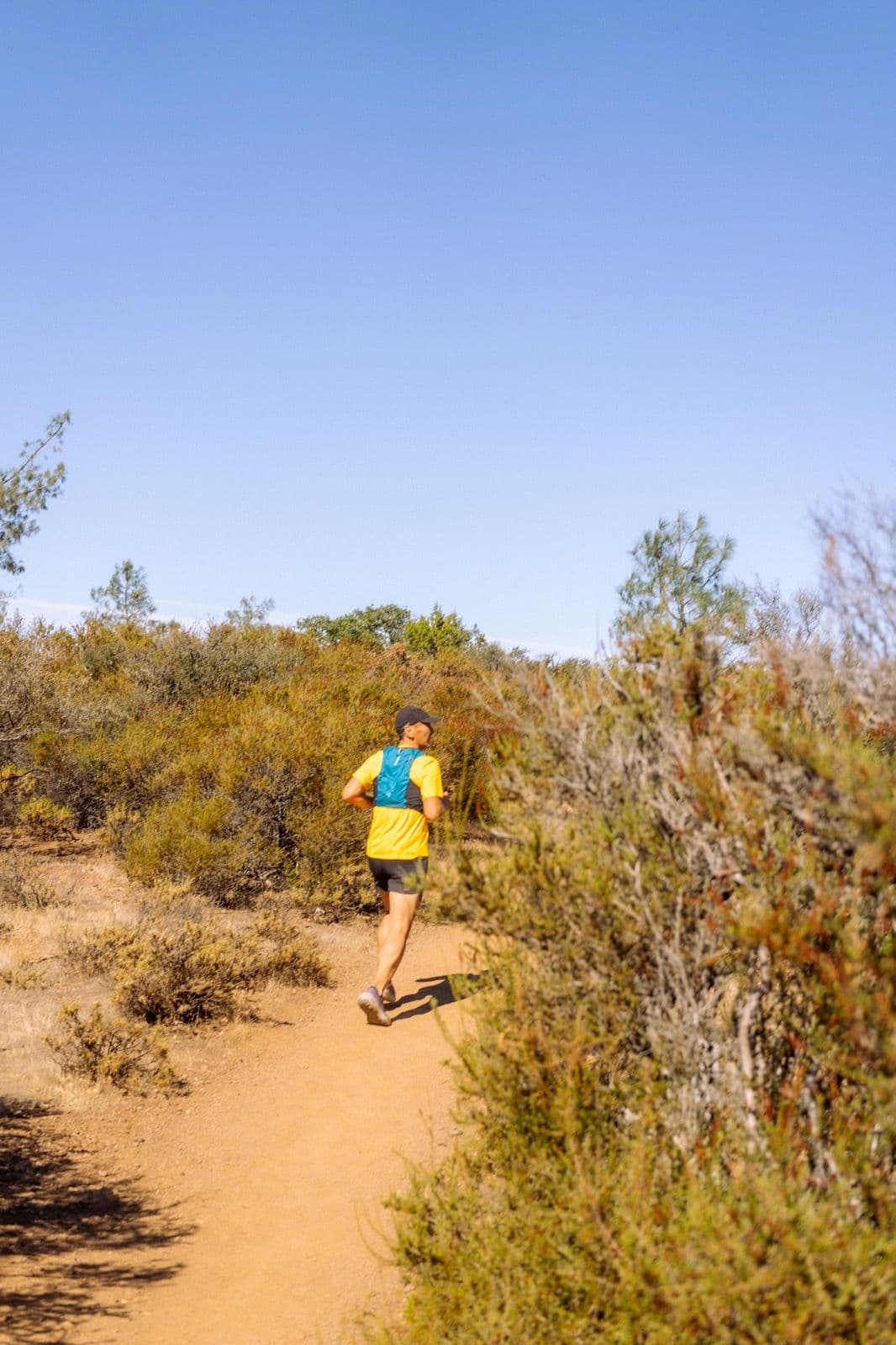 Iron Horse Run Club mount diablo summit photo 18 of 22