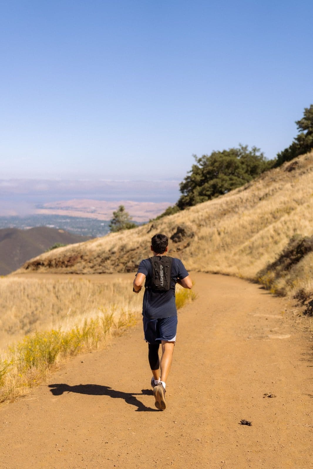 Iron Horse Run Club mount diablo summit photo 19 of 22