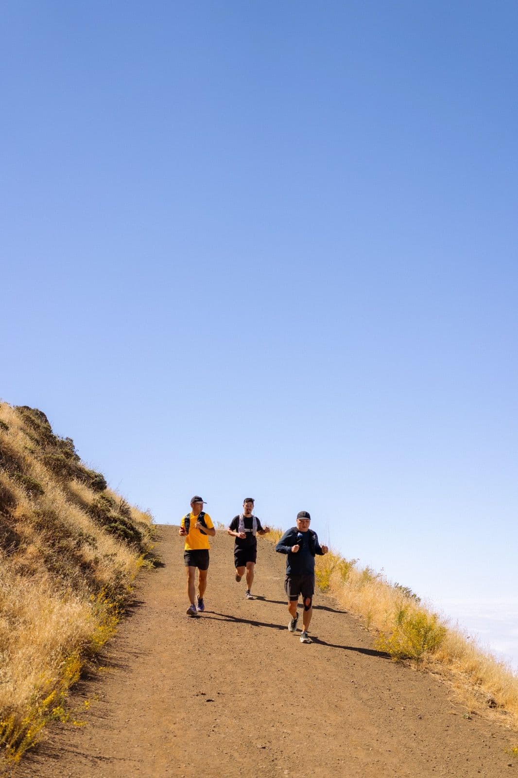 Iron Horse Run Club mount diablo summit photo 20 of 22