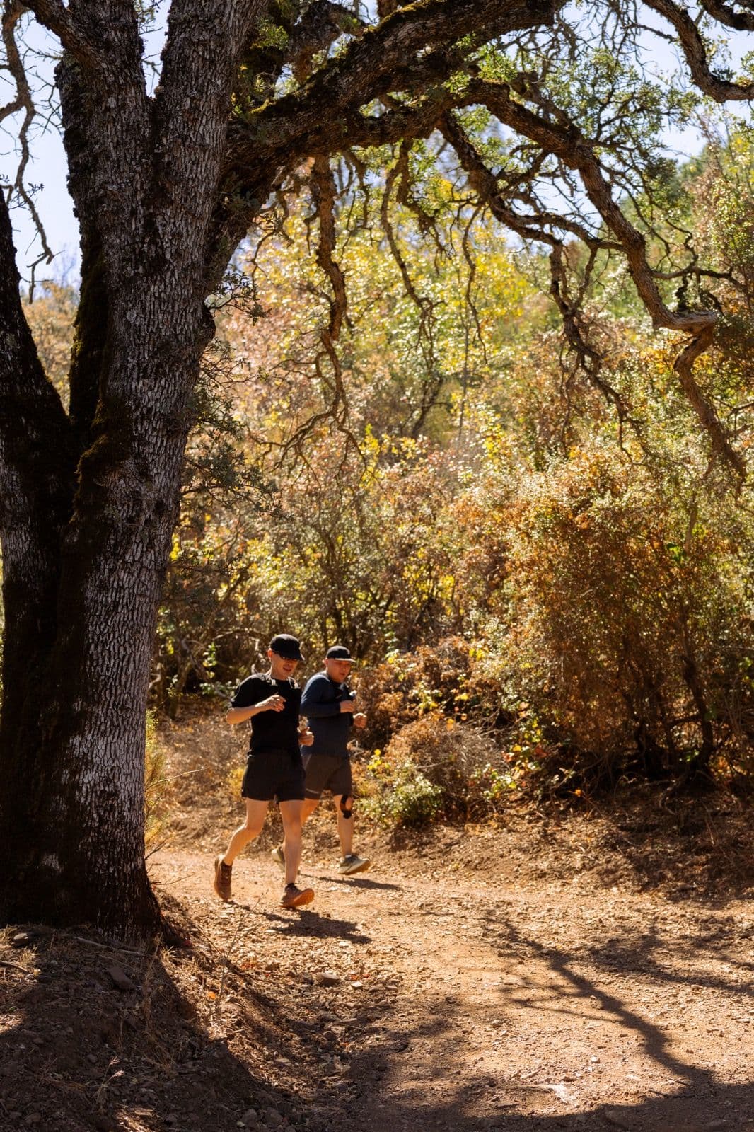 Iron Horse Run Club mount diablo summit photo 21 of 22