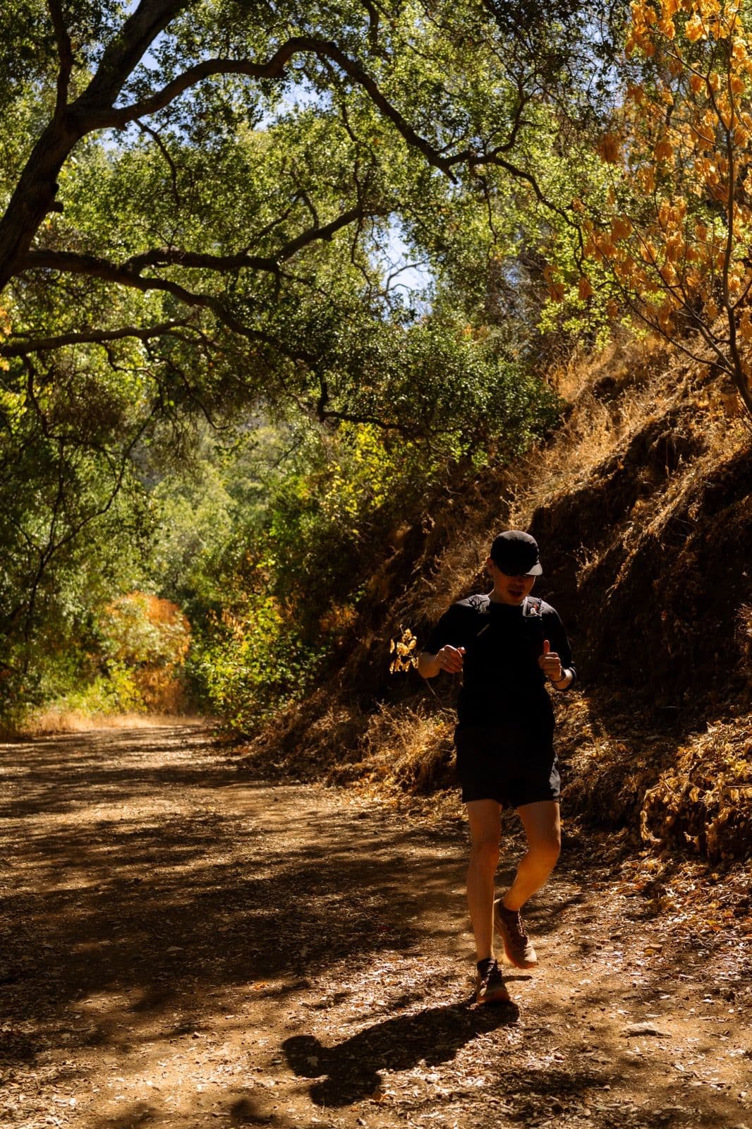 Iron Horse Run Club mount diablo summit photo 22 of 22
